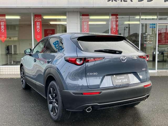 ������������T�|�J�[�r���C�h�ɊY������A���S�����t���̂P��ł��B�y�A�h�o���X�g�r�b�a�r�@�O�i���^��ގ��z�y�`�s�딭�i�}������@�O�i���^��ގ��z