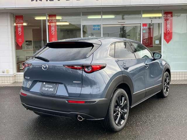 �y�u���C���h�E�X�|�b�g�E���j�^�����O�z�׎Ԑ�������������͑�������ڋ߂���ԗ������m���ăh�A�~���[�ɕ\���B���̏�Ԃł̃E�C���J�[����̍ۂɂ͌x�񉹂Ŋ댯�����m�点�B���ԏꂩ��o�b�N�ŏo�ɂ̍ۂɂ�����