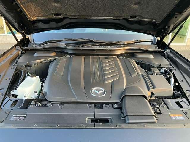 �G���W�����[�����s�J�s�J�Ɏd�グ�܂��B�G���W�����[��������Ă���ƕs��̌����ɂ��Ȃ�܂��B�t�ɃI�C���R��Ȃǂُ̈킪�������Ƃ��ɂ͌������݂��₷���ł���B