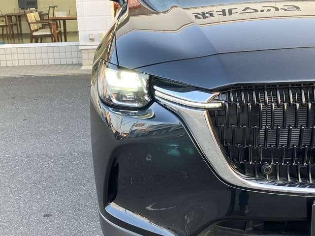 �w�b�h���C�g�͖�Ԃł̎��E����������m�ۂ��Ă��܂��B���S�E���K�ȃh���C�u��������肨�y���݉������B