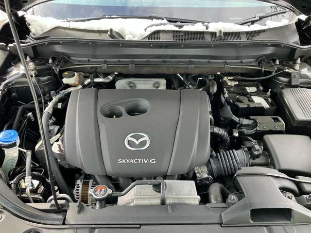 �G���W�����[�����s�J�s�J�Ɏd�グ�܂��B�G���W�����[��������Ă���ƕs��̌����ɂ��Ȃ�܂��B�t�ɃI�C���R��Ȃǂُ̈킪�������Ƃ��ɂ͌������݂��₷���ł���B