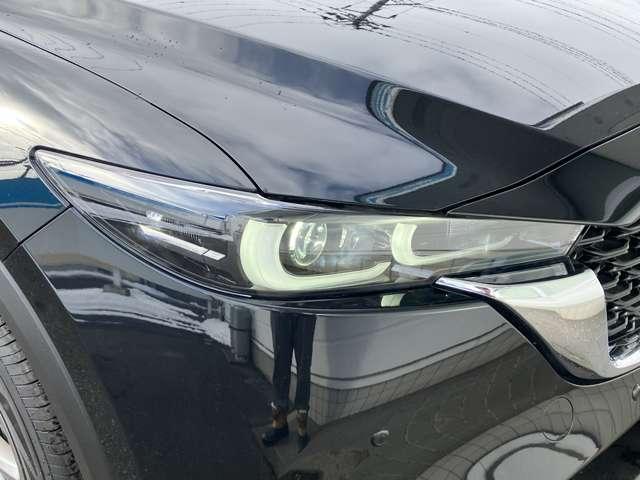 �w�b�h���C�g�͖�Ԃł̎��E����������m�ۂ��Ă��܂��B���S�E���K�ȃh���C�u��������肨�y���݉������B