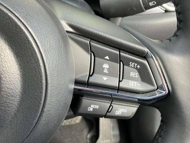 �X�e�A�����O�E���ɂ̓��[�_�[�N���[�Y�R���g���[���������B�������H�ȂǂŃA�N�Z����u���[�L�𑀍삷�邱�ƂȂ��O���ԂƂ̎Ԋԋ�����ۂ悤�����Ŏԑ����R���g���[�����܂��B