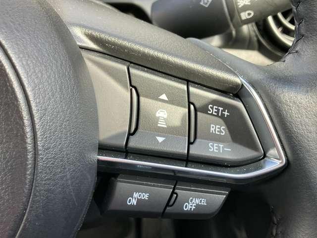 �X�e�A�����O�E���ɂ̓��[�_�[�N���[�Y�R���g���[���������B�������H�ȂǂŃA�N�Z����u���[�L�𑀍삷�邱�ƂȂ��O���ԂƂ̎Ԋԋ�����ۂ悤�����Ŏԑ����R���g���[�����܂��B