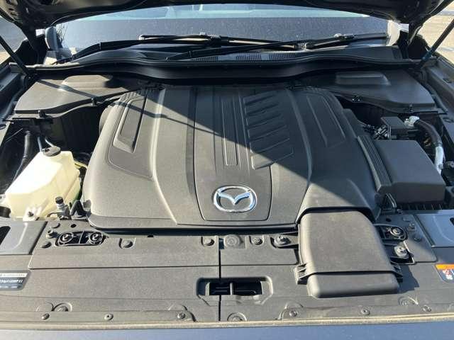 �G���W�����[�����s�J�s�J�Ɏd�グ�܂��B�G���W�����[��������Ă���ƕs��̌����ɂ��Ȃ�܂��B�t�ɃI�C���R��Ȃǂُ̈킪�������Ƃ��ɂ͌������݂��₷���ł���B