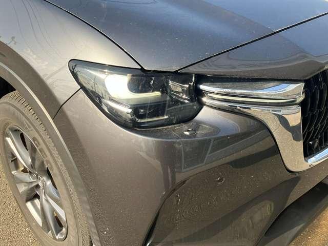 �w�b�h���C�g�͖�Ԃł̎��E����������m�ۂ��Ă��܂��B���S�E���K�ȃh���C�u��������肨�y���݉������B