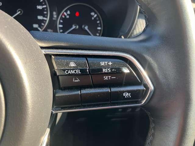 �X�e�A�����O�E���ɂ̓��[�_�[�N���[�Y�R���g���[���������B�������H�ȂǂŃA�N�Z����u���[�L�𑀍삷�邱�ƂȂ��O���ԂƂ̎Ԋԋ�����ۂ悤�����Ŏԑ����R���g���[�����܂��B