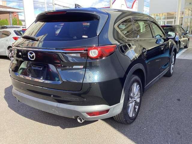 CX-8 XD-PROACTI 360°カメラ付き ラジオ付きCD(6枚目)