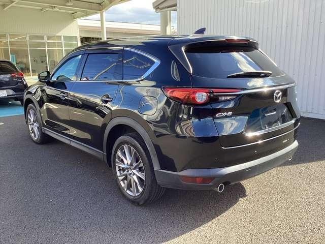 CX-8 XD-PROACTI 360°カメラ付き ラジオ付きCD(8枚目)