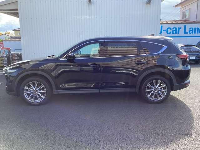 CX-8 XD-PROACTI 360°カメラ付き ラジオ付きCD(9枚目)