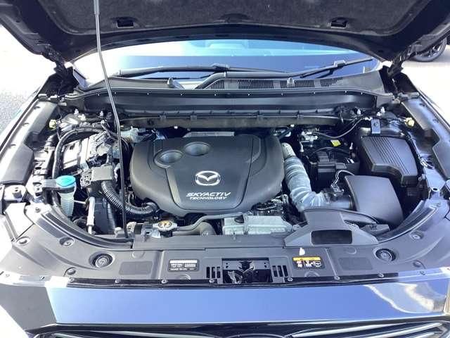 CX-8 XD-PROACTI 360°カメラ付き ラジオ付きCD(14枚目)