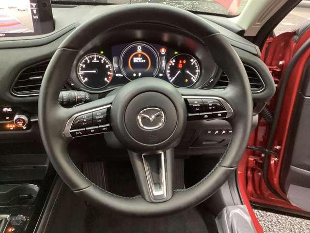 ＣＸ－３０ ２０Ｓ　ＲＳＥ（10枚目）