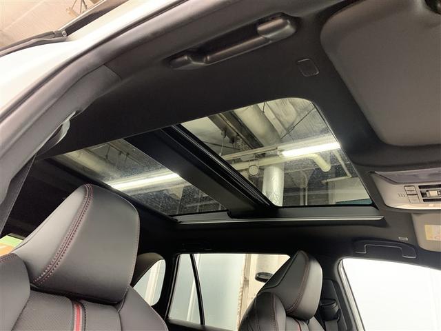 �����ɐS�n�����J�������I