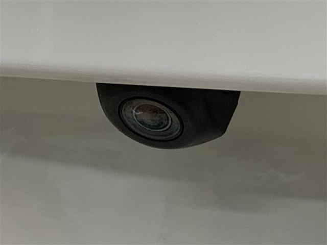 �o�b�N�J�����B