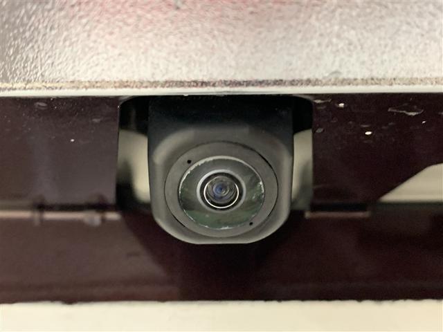 �o�b�N�J�����B