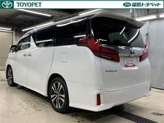 ��ǯ�����Ե�Υ̵���¤Ρ֥��󥰥���ݾڡפ��դ��Ƥ��ޤ���ǯ������鷺�����󣵡�������������Υȥ西�Τ�Ź���ݾڽ���������뤳�Ȥ��Ǥ��ޤ��� 4