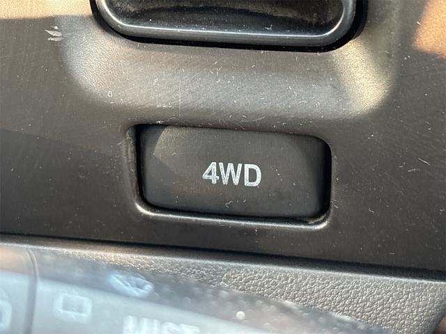 ハイゼットカーゴ スペシャル　《４ＷＤ》集中ドアロック／後ろ（22枚目）