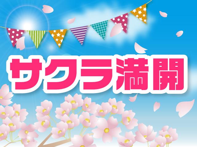 G 2WD/軽/首都圏仕入れ/バックカメラ(ルームミラー)/走行距離24909キロ/純正CDチューナ/タッチパネル式フルオートエアコン/スマートキ/アイドリングストップ/プライバシーガラス/フロアマット/(3枚目)