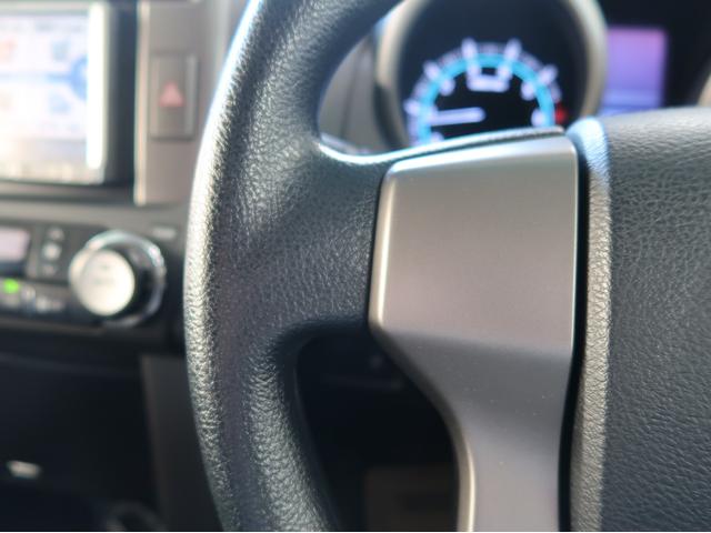 ランドクルーザープラド ＴＸ　禁煙　ストラーダナビ　バックカメラ　フォグ（24枚目）