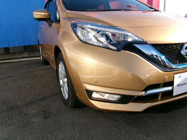 ���̒��𖾂邭�k�d�c�w�b�h�����v�I�I�t�H�O�����v�̓n���Q���ł��I�I