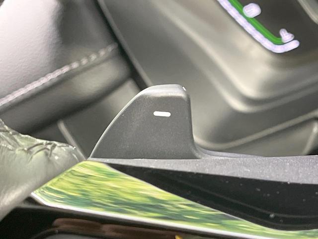 ステップワゴン e:HEVスパーダ 禁煙車 衝突軽減装置 後席モニター 純正11型ナビ 両側電動スライド バックカメラ レーダークルーズ LEDヘッド ETC ドラレコ ブラインドスポットモニター ハーフレザーシート(32枚目)