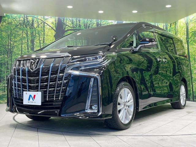 アルファード 2.5S 禁煙車 純正9型ナビ 衝突軽減装置 レーダークルーズ バックカメラ 両側電動スライドドア コーナーセンサー LEDヘッド ETC オートハイビーム オートライト デュアルエアコン オットマン(53枚目)