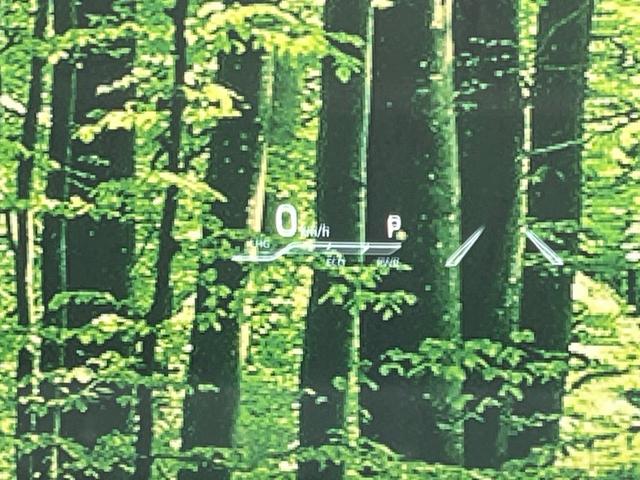 カローラスポーツ ハイブリッドＧ　Ｚ　禁煙車　純正９型ナビ　バックカメラ　衝突軽減装置　レーダークルーズ　ハーフレザーシート　ドラレコ　コーナーセンサー　シートヒーター　ＬＥＤヘッド　ＥＴＣ　オートハイビーム　オートライト　スマートキー（45枚目）