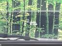ベースグレード 4WD 禁煙車 衝突軽減装置 純正9型ナビ 全周囲カメラ レーダークルーズ ブラインドスポットモニター ヘッドアップディスプレイ 前席シートヒーター 合皮シート LEDヘッド スマートキー(29枚目)