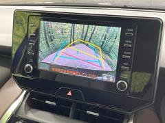 �ϥꥢ�� �ǡ����ףġ��ر�֡����ͷڸ����֡������ǥ����ץ쥤�����ǥ��� 0900629A20260110Q001 4