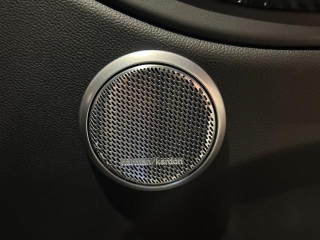 ジュリア クアドリフォリオ カルボニオ 限定車 ETC ドライブレコーダー 純正フロアマット(23枚目)