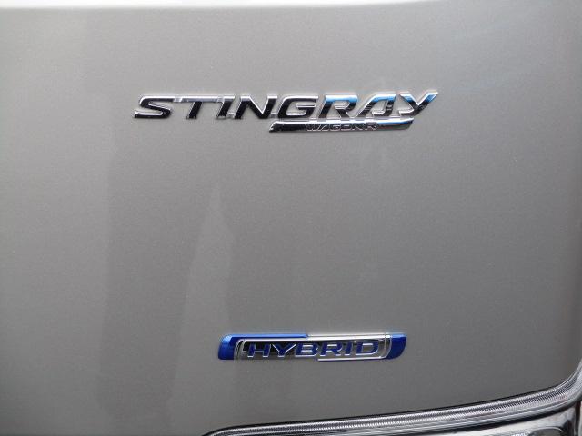 スティングレー HYBRID X 2型(45枚目)