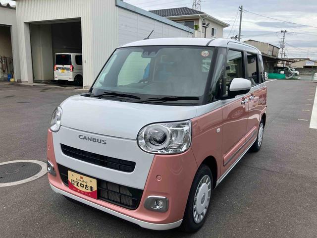 ムーヴキャンバス ストライプスＧ（27枚目）