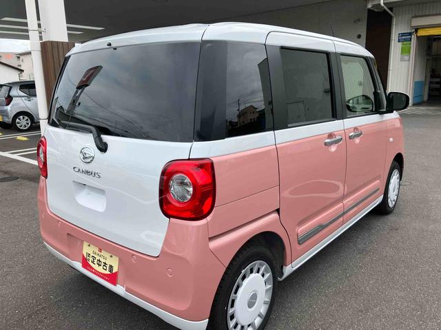 ムーヴキャンバス ストライプスＧ（28枚目）