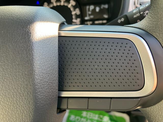 ムーヴキャンバス ストライプスＸ（5枚目）