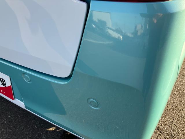 ムーヴキャンバス ストライプスＸ（43枚目）