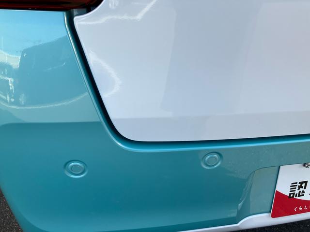 ムーヴキャンバス ストライプスＸ（45枚目）