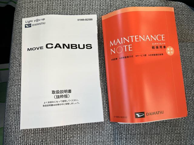 ムーヴキャンバス ストライプスＸ（49枚目）