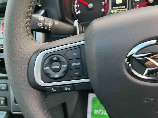 タフト Ｇ　ダーククロムベンチャー（11枚目）