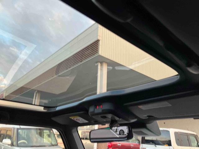 タフト Ｇ　ダーククロムベンチャー（17枚目）