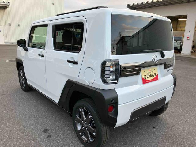 タフト Ｇ　ダーククロムベンチャー（30枚目）