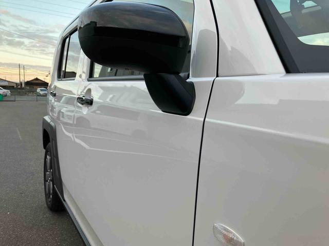 タフト Ｇ　ダーククロムベンチャー（39枚目）