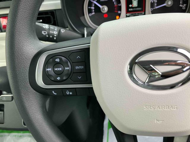 ムーヴキャンバス ストライプスＧ（4枚目）