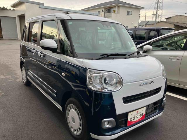 ムーヴキャンバス ストライプスＧ（29枚目）