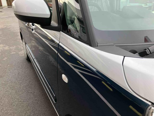 ムーヴキャンバス ストライプスＧ（40枚目）