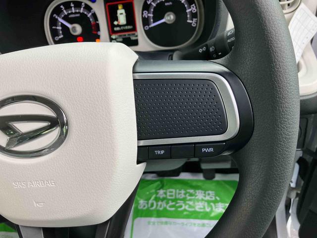 ムーヴキャンバス ストライプスＧ（48枚目）