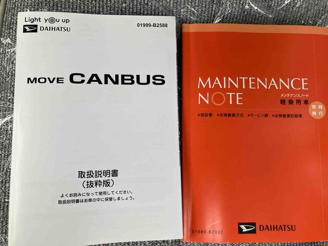 ムーヴキャンバス ストライプスＧ（50枚目）