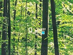 ��ž�ʥ����Ȳ���ϻ��Ѵ��⾯�ʤ����ɹ��ʾ��֤ȤʤäƤ��ޤ�����ǫ�˻Ȥ��Ƥ������Ȥ��褯�狼��ޤ��͡� 7