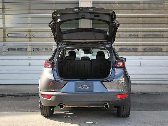 ＣＸ－３ １．５　１５Ｓ　ツーリング　４ＷＤ　・ＣＤ／ＤＶＤプレーヤー＋地上デジタルＴＶチュー（18枚目）