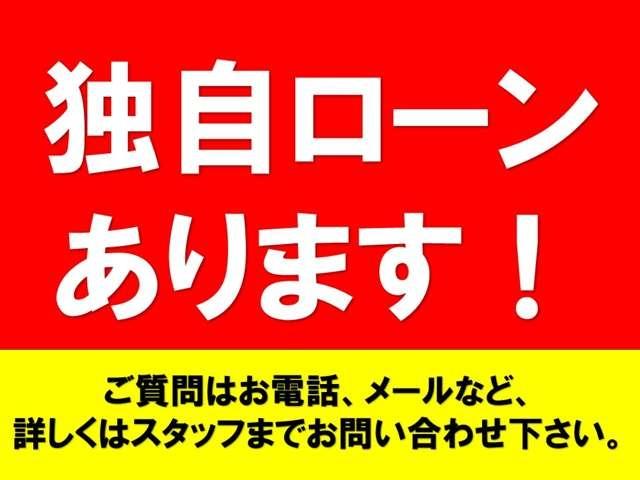 ライダー　黒本革シート　純正ＨＤＤナビ　ＣＤ　ＤＶＤ再生　アラウンドビューモニター　クルーズコントロール　両側パワースライドドア　フロントシートヒーター　フリップダウンモニター　エンジンスターター　セカンドシートオットマン(16枚目)