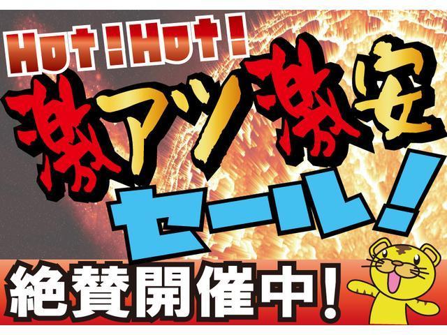 アルファード ２．５Ｓ　両側パワースライドドア　カロッツェリアナビ　ＣＤ　ＤＶＤ　フルセグＴＶ　社外フリップダウン　コーナーセンサー　ＥＴＣ　ＬＥＤオートライト　社外ドライブレコーダー　電動パーキングブレーキ　　横滑り防止（64枚目）